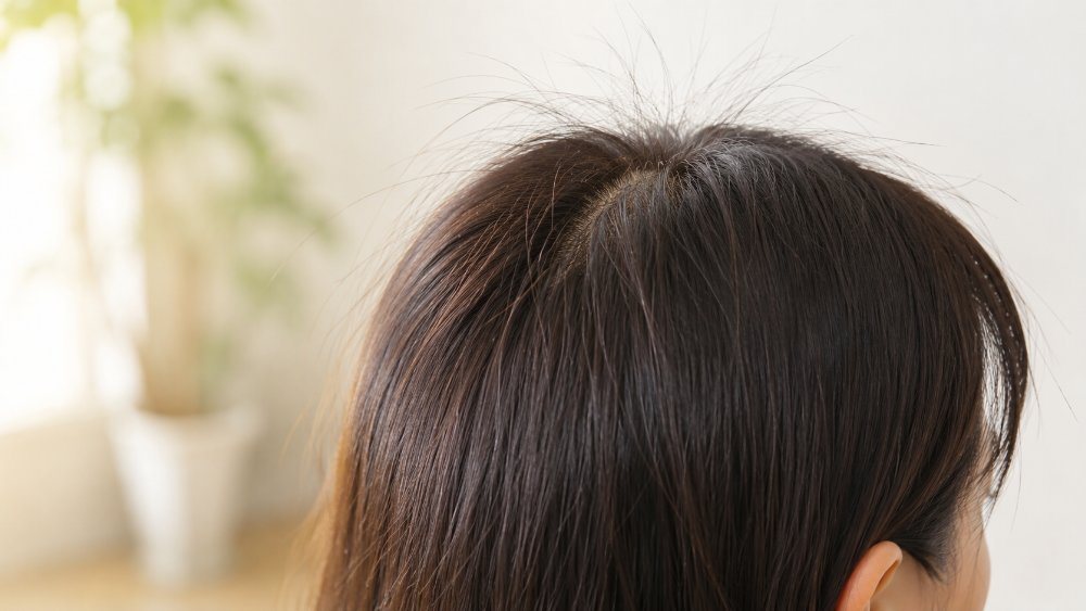 タイプ別アホ毛の見分け方