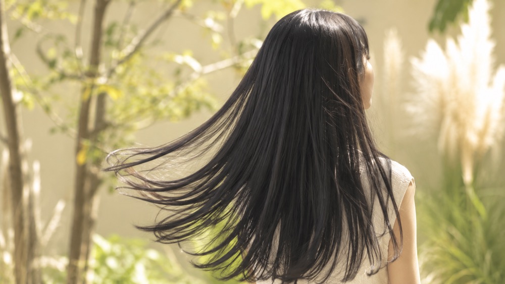 屋外でツヤ黒髪が風になびく後ろ姿